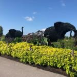 2019_OTRA_0635 (September 02, 2019)